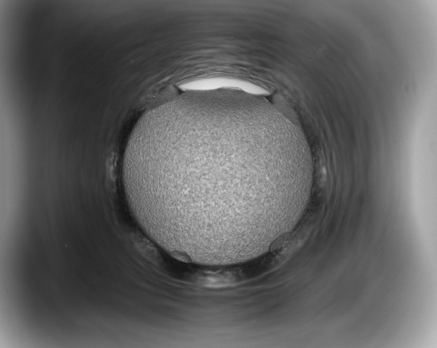 X0000087640275200705311332