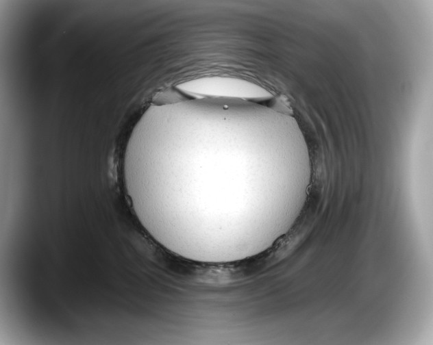 X0000087640282200705311332