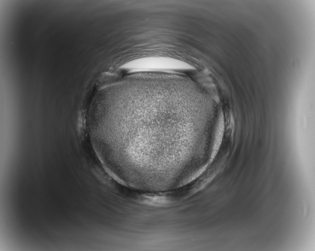 X0000087640284200705311332