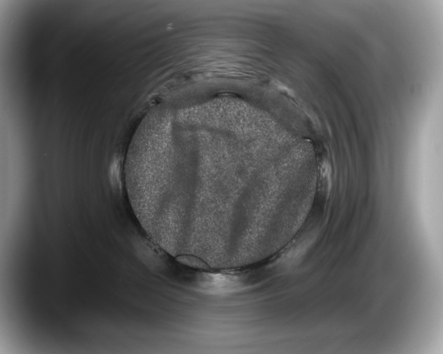 X0000087640286200705311332