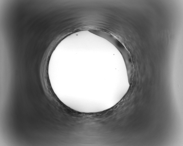 X0000087640289200705311332