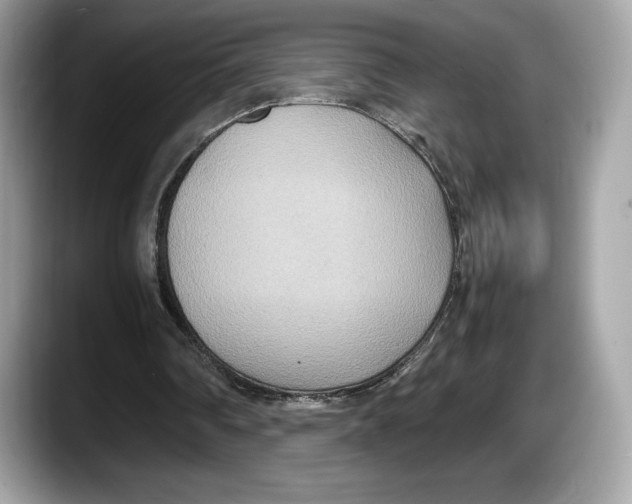 X0000087640290200705311332