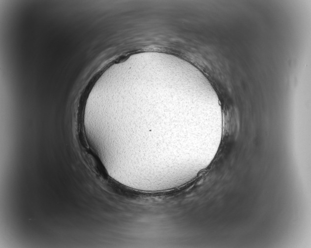 X0000087640291200705311331