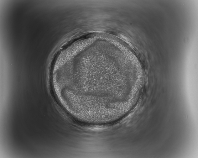 X0000087640293200705311331