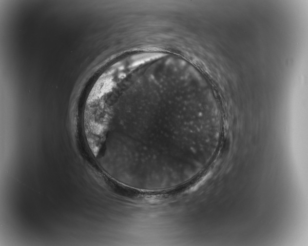 X0000087640295200705311331