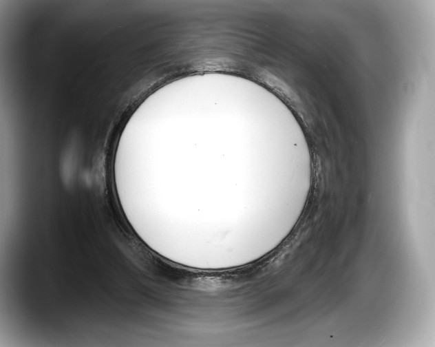 X0000087640298200705311331