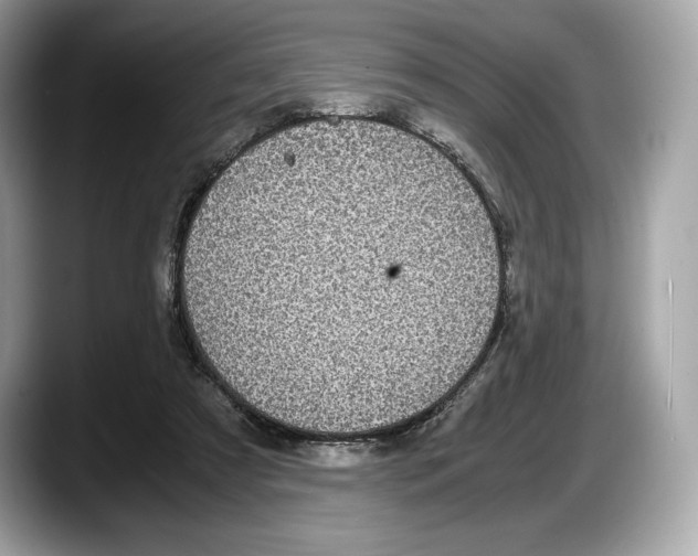 X0000087640305200705311331