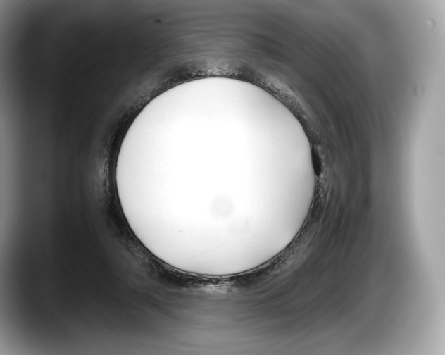 X0000087640306200705311331