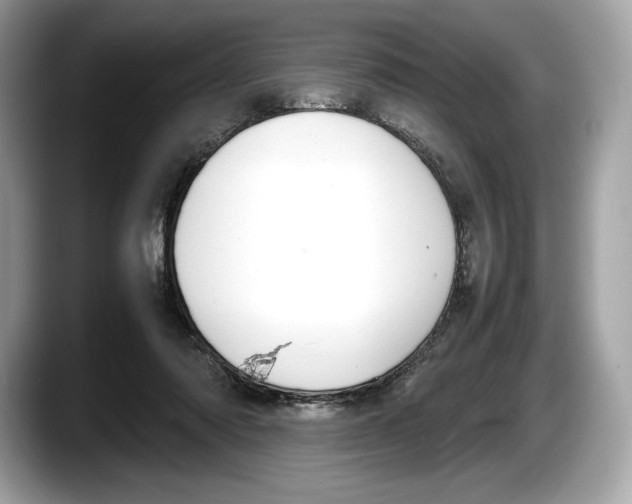 X0000087640310200705311331