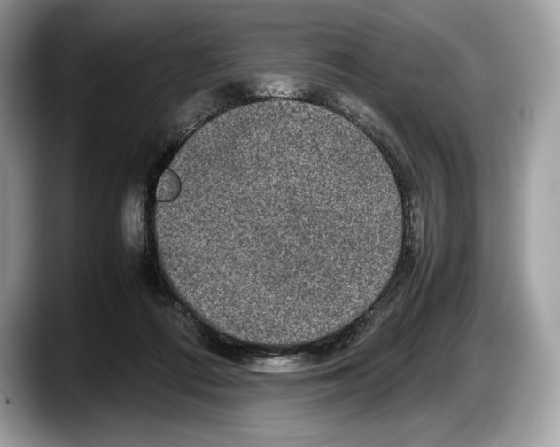 X0000087640312200705311331