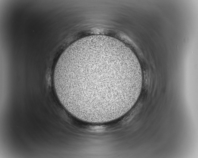 X0000087640313200705311331