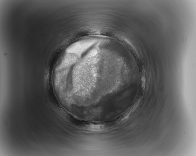 X0000087640314200705311331