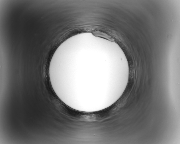 X0000087640317200705311331