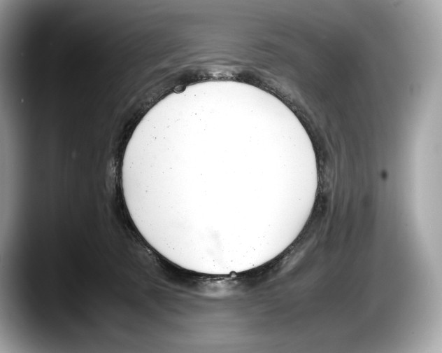 X0000087640321200705311331