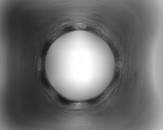 X0000087640323200705311331