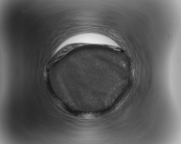 X0000087640325200705311331