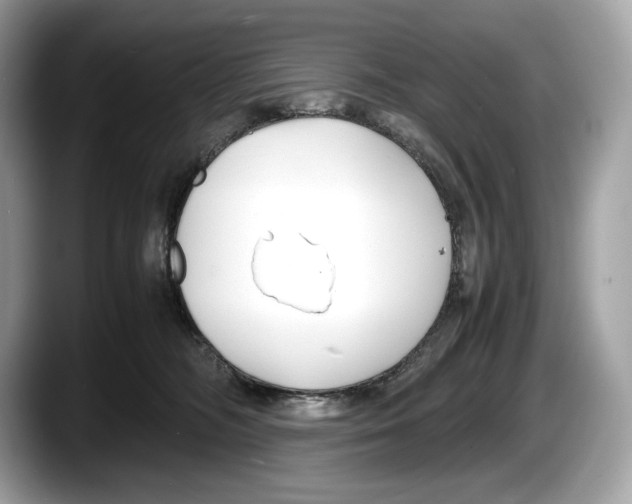 X0000087640326200705311331