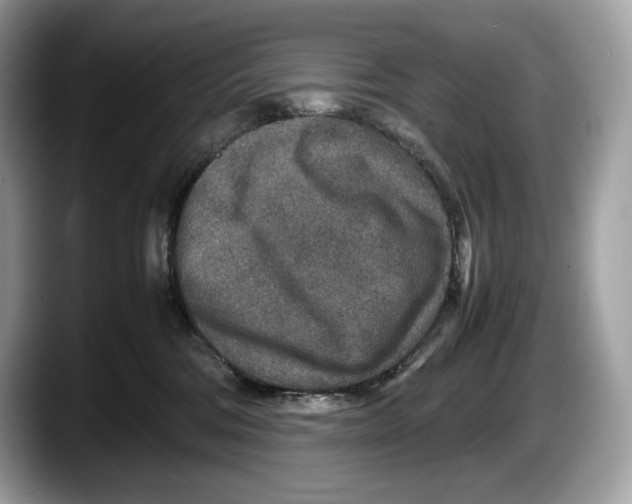 X0000087640330200705311331