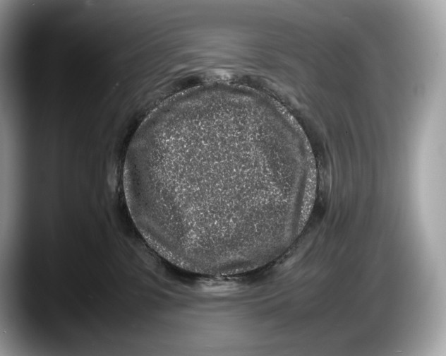 X0000087640331200705311331