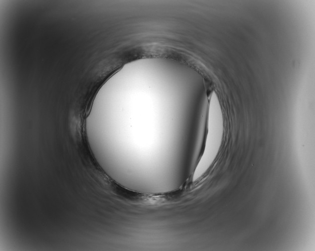 X0000087640333200705311331