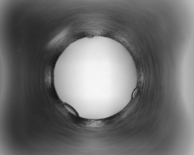 X0000087640334200705311331