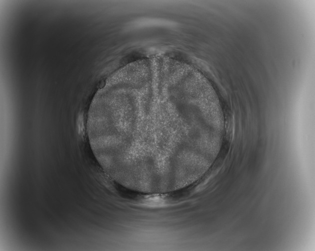 X0000087640335200705311331