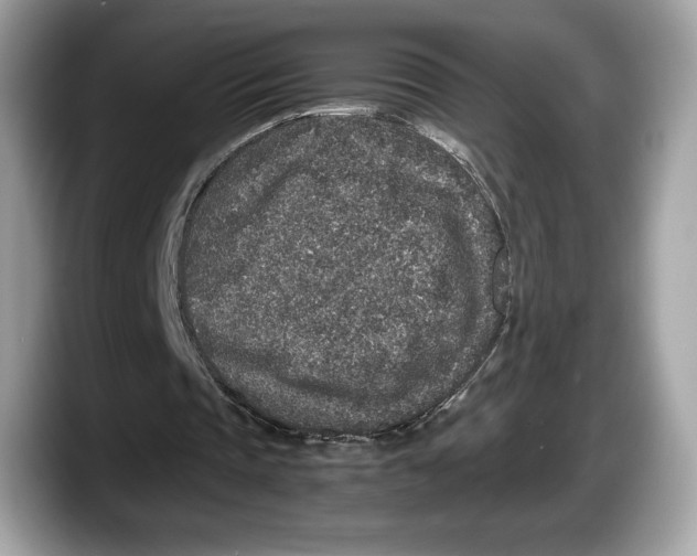 X0000087640337200705311330