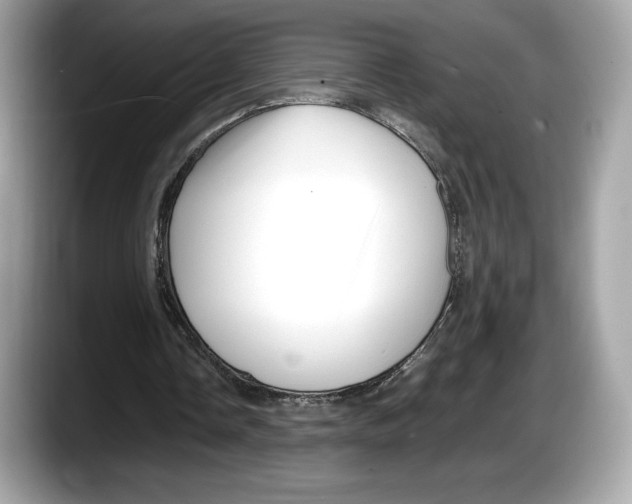 X0000087640338200705311330