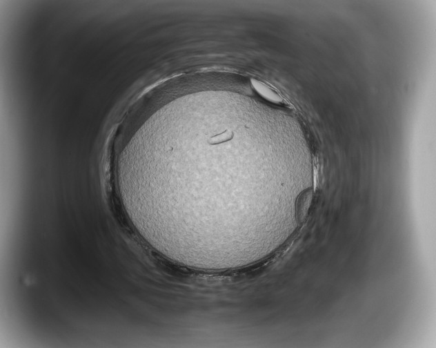 X0000087640339200705311330