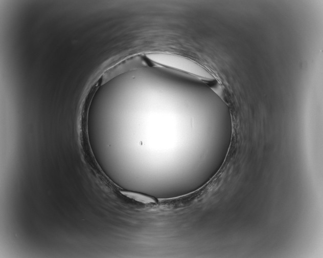 X0000087640340200705311330