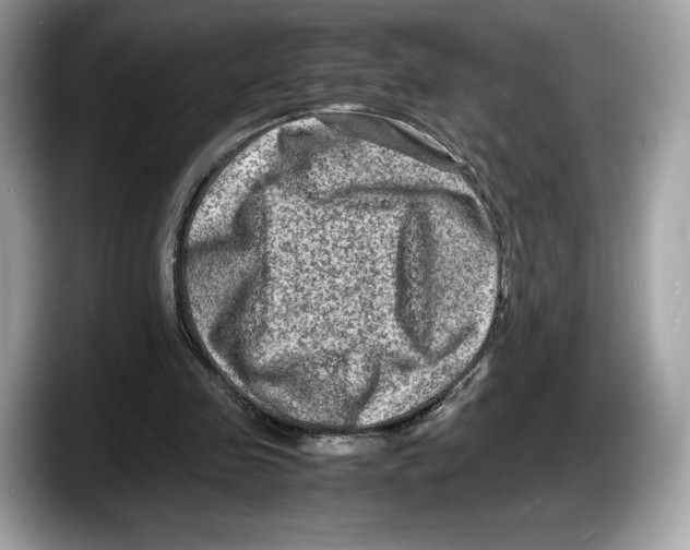 X0000087640341200705311330