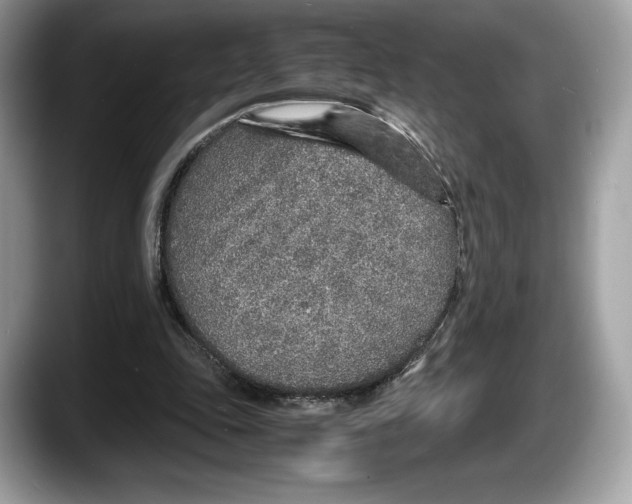 X0000087640343200705311330