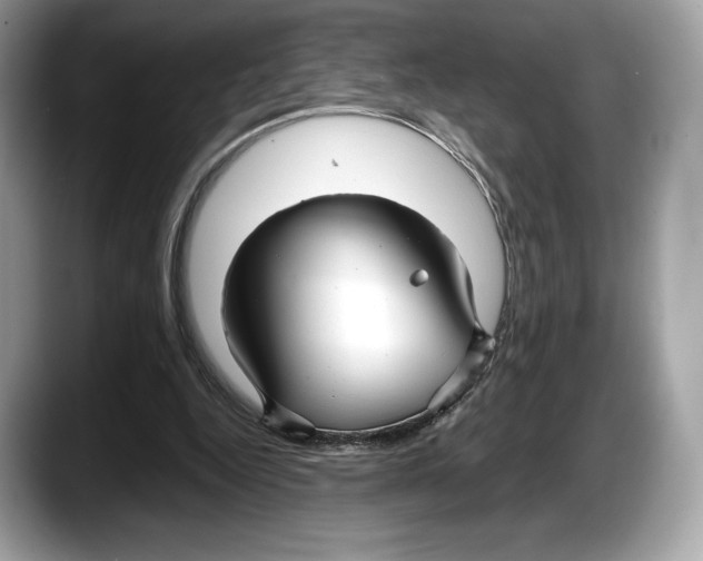 X0000087640344200705311330