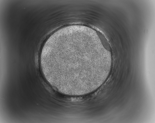 X0000087640345200705311330