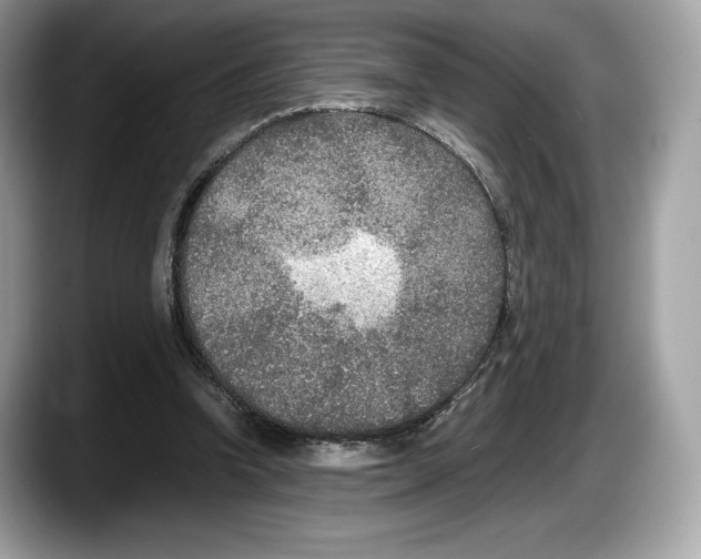 X0000087640346200705311331