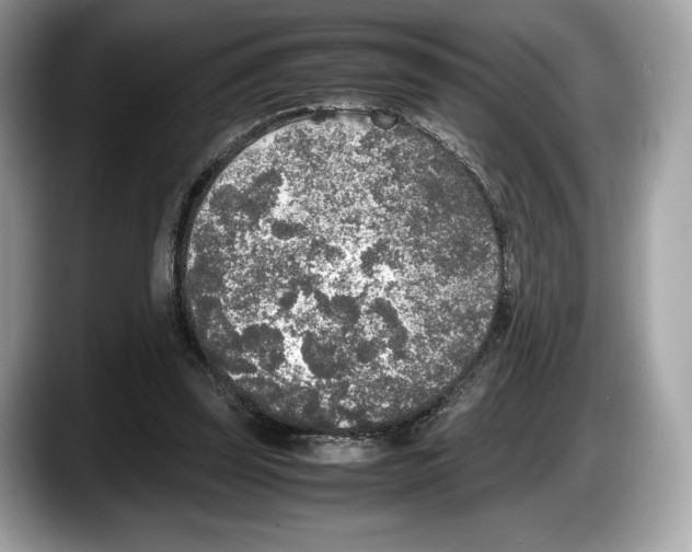 X0000087640347200705311331