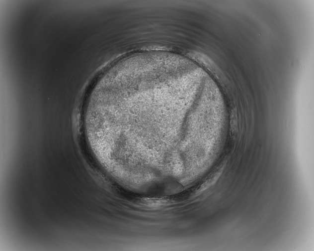 X0000087640351200705311331