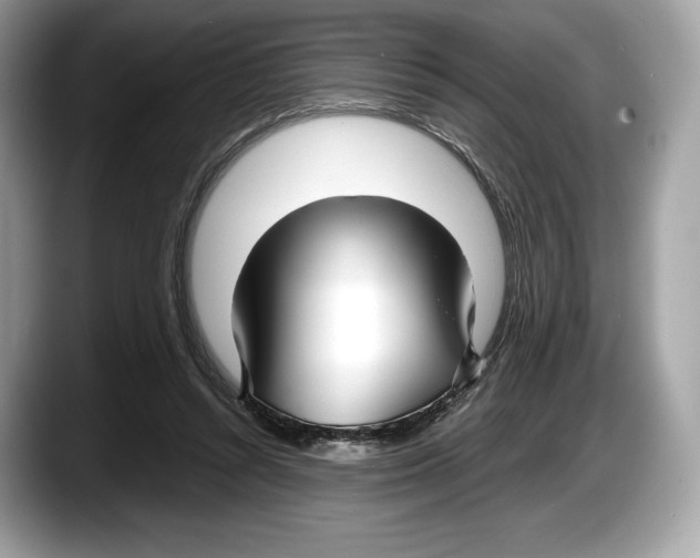 X0000087640352200705311331