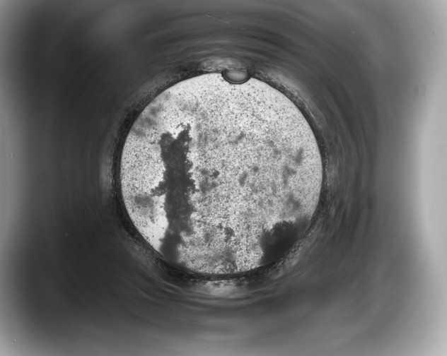 X0000087640353200705311331