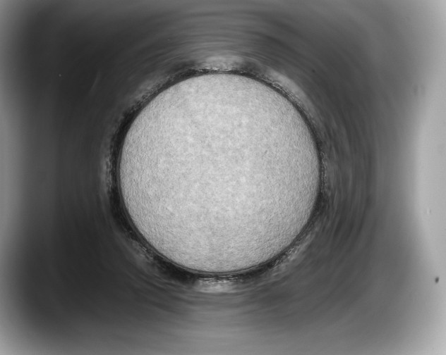 X0000087640354200705311331