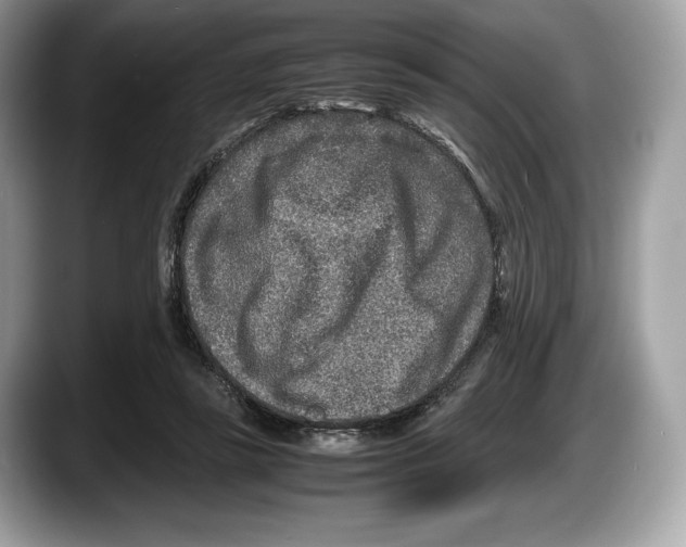 X0000087640355200705311331