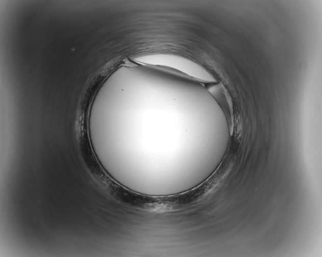 X0000087640356200705311331