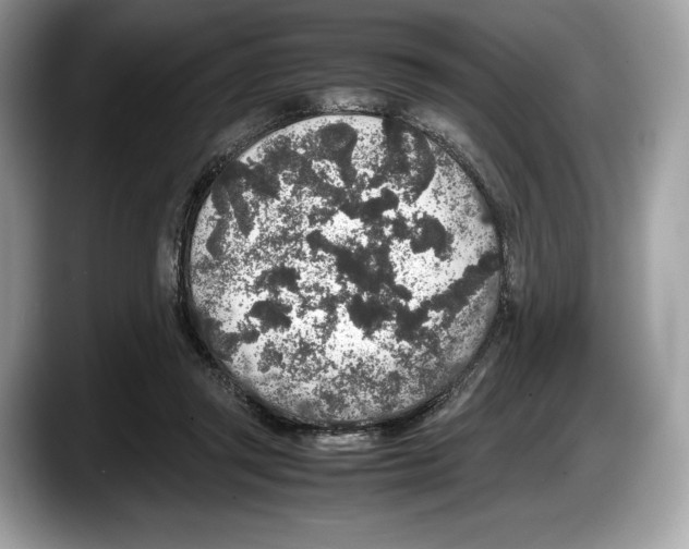 X0000087640357200705311331