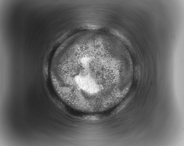 X0000087640358200705311331