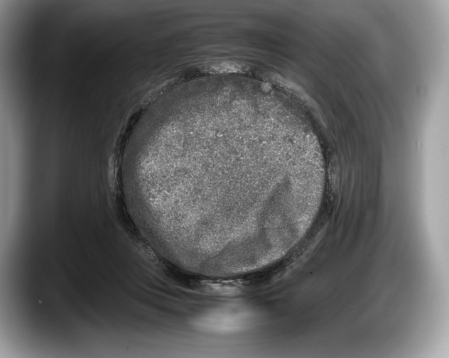 X0000087640359200705311331