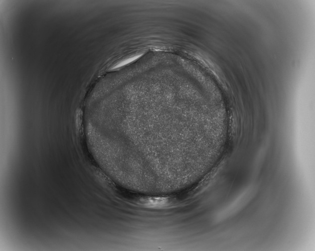 X0000087640361200705311331