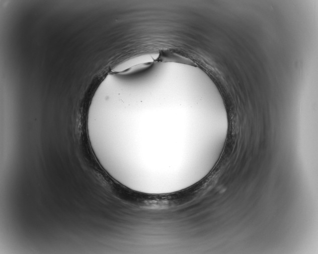 X0000087640362200705311331