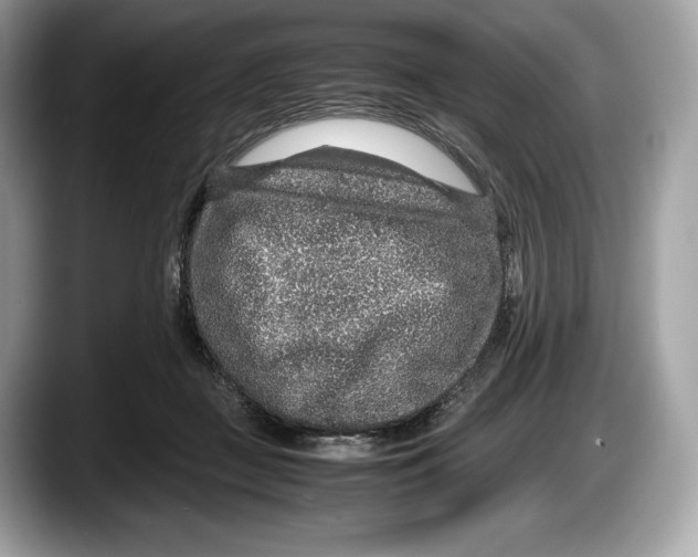 X0000087640363200705311331