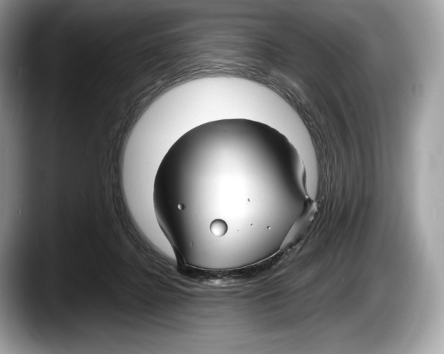 X0000087640364200705311331