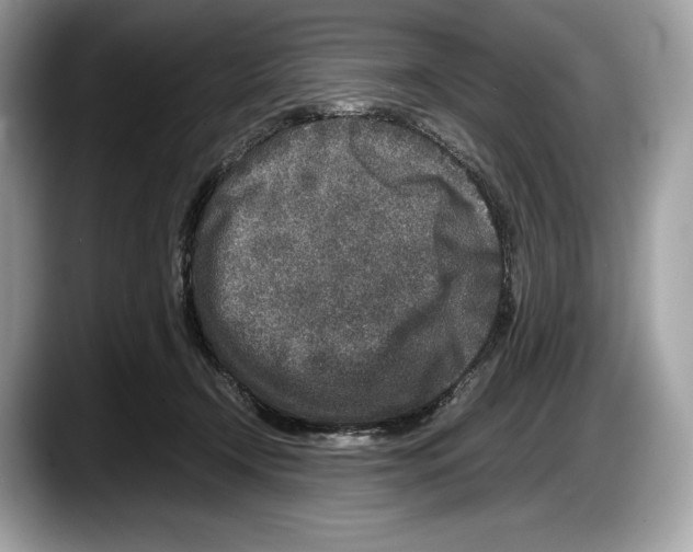 X0000087640366200705311331